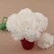 Cream White Carnation Picks: Set of 100, 5&#x22; Stems by Floral Home&#xAE;